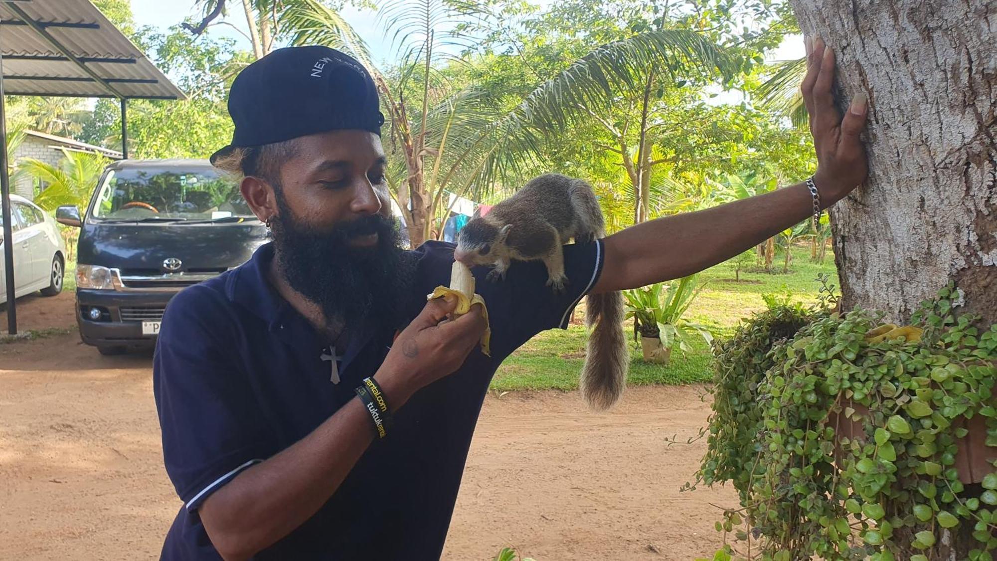 Ceylon Resort Wilpattu Bagian luar foto