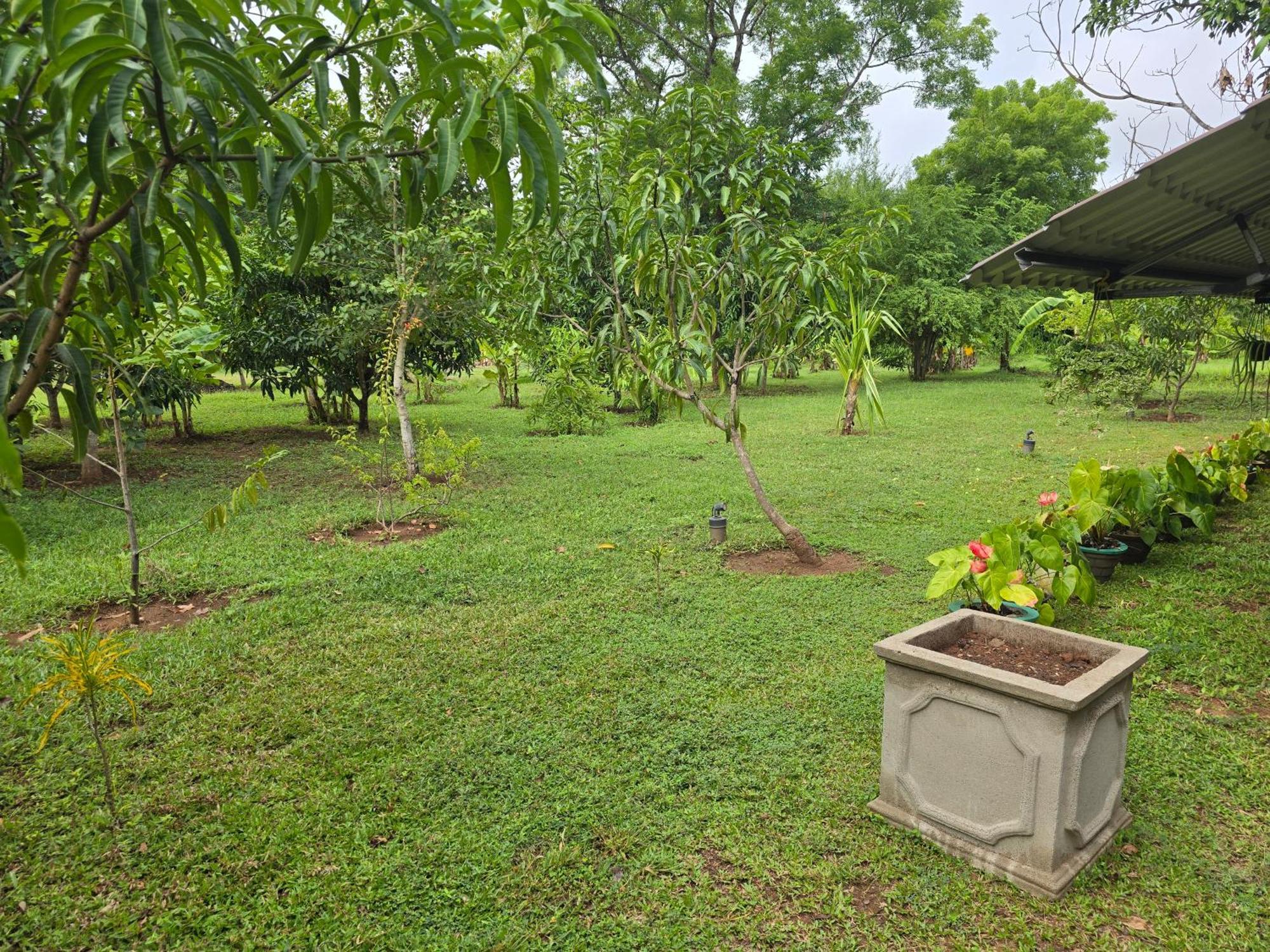 Ceylon Resort Wilpattu Bagian luar foto